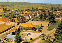 21-VOUGEOT- LE CLOS VOUGEOT- LA CAVE DE DEGUSTATION - Other & Unclassified