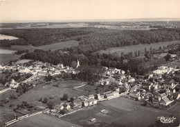 21-CHAMESSON- VUE GENERALE AERIENNE - Autres & Non Classés