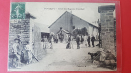 Héricourt , Entrée Des Magasins à Fourrage - Héricourt