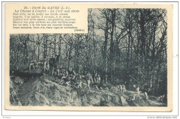 44 - Forêt Du GAVRE (L.-I.) - La Chasse à Courre - Le Cerf Aux Abois - Ed. G. Artaud Gagy N° 29 - Le Gavre