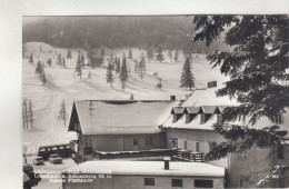 C9568) LOSENHEIM Am Schneeberg - Alpengasthof SEPP WANZENBÖCK - Verschneit Mit Alten AUTOS - Schneeberggebiet