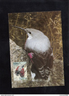 REPUBLIC OF MACEDONIA, CARTE MAXIMUM, MICHEL 333 - BIRDS-Tichodroma Muraria + - Spechten En Klimvogels