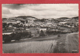 Loire - Belmont - Vue Générale (CPSM) - Belmont De La Loire