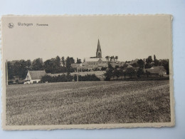 Wortegem Panorama - Wortegem-Petegem