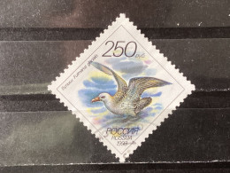 Russia / Rusland - Birds (250) 1993 - Usados