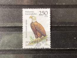 Russia / Rusland - Birds (250) 1993 - Used Stamps