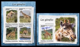 Central Africa  2022 Giraffes (805) OFFICIAL ISSUE - Jirafas
