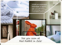 CP De ZELE " Red Rabbit " - Zele
