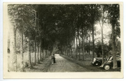 Vert Le Petit - L'allée Des Soupirs - Vert-le-Petit