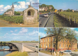 HOCHHEIM AM MAIN CHURCH, VINEYARD, BRIDGE, CAR, DIFFERENT VIEWS - Hochheim A. Main