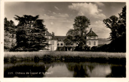 Chateau De Coppet Et Le Parc (229) - Coppet