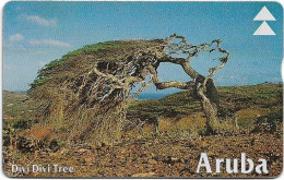 Aruba - Setar - L&G - Divi Divi Tree II - 609A - 09.1996, 20U, Used - Aruba