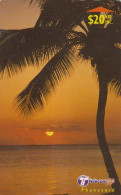 Fiji, $20  Palmtree At Sunset, Dawn & Dusk - 30FJE - Fidji