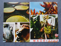 MAURITIUS - Maurice