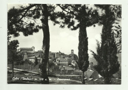 Delcampe - CALVI ( UMBRIA ) PANORAMA - VIAGGIATA FG - Terni
