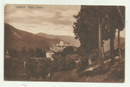 Delcampe - CALCI - VILLA TOBLER  - VIAGGIATA FP - Pisa