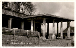 Avenches - Pavillon Du Musee Romain (8158) - Avenches