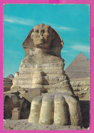 292389 / Egypt - The Monument Great Sphinx Of Giza PC 1961 Used Cairo  National 20 M Symbols UAR Egypte Agypten - Sphynx