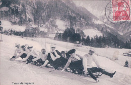 Sport D'hiver, Train De Lugeurs (101) - Sports D'hiver