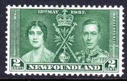 NEWFOUNDLAND - 1937 CORONATION 2c STAMP FINE MOUNTED MINT MM * SG 254 - 1908-1947