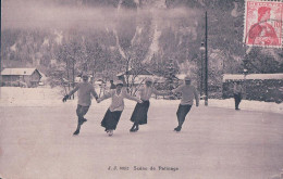 Sport D'hiver, Scène De Patinage (8052) - Sports D'hiver