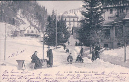 Sport D'hiver Aux Avants VD, Grand Hôtel Et Hôtel De Jaman, Partie De Luges (2287) - Sports D'hiver