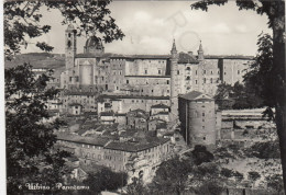 CARTOLINA  URBINO,MARCHE-PANORAMA-STORIA,MEMORIA,CULTURA,RELIGIONE,IMPERO ROMANO,BELLA ITALIA,VIAGGIATA 1956 - Urbino