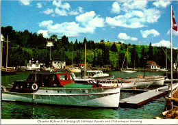 Canada Nova Scotia Chester Harbour View - Autres & Non Classés