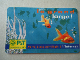 LUXEMBOURG   USED  CARDS  FISHES  FISH - Peces