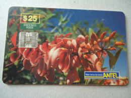URUGUAY  USED CARDS  FLOWERS ORCHIDS  UNITS 25 - Blumen