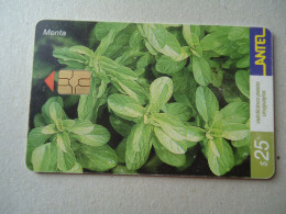 URUGUAY  USED CARDS  FLOWERS PLANTS   UNITS 25 - Fleurs