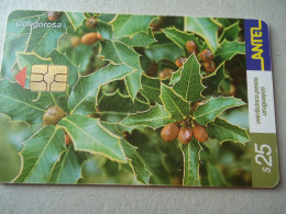 URUGUAY  USED CARDS  FLOWERS PLANTS   UNITS 25 - Fleurs