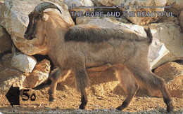 OMAN - GPT - ANIMALS ARABIAN TAHR - 13OMNC - Oman