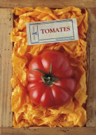 Tomates De Serge Schall (2011) - Garden