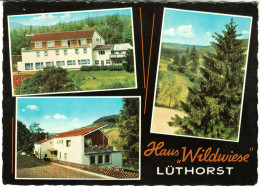 Lüthorst = Dassel Krs Northeim 1967 Private AK " Haus Wildwiese DAK Jugendgesundungsstätte " - Einbeck