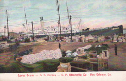 NEW ORLEANS / LEVEE SCENE / SS COMUS / - New Orleans