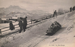 Sports D'hiver * En Bobsleigh * Alpes Suisse Schweiz - Sports D'hiver