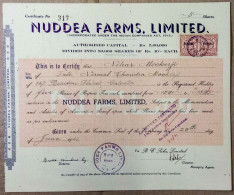 INDIA 1946 NUDDEA FARMS, LIMITED., AGRICULTURE BASE COMPANY.....SHARE CERTIFICATE - Agriculture