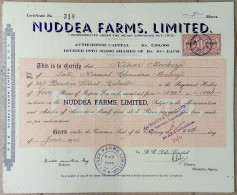 INDIA 1946 NUDDEA FARMS, LIMITED., AGRICULTURE BASE COMPANY.....SHARE CERTIFICATE - Agricoltura