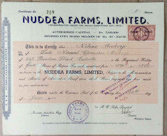 INDIA 1946 NUDDEA FARMS, LIMITED., AGRICULTURE BASE COMPANY.....SHARE CERTIFICATE - Agriculture