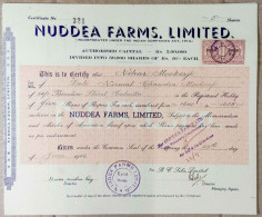 INDIA 1946 NUDDEA FARMS, LIMITED., AGRICULTURE BASE COMPANY.....SHARE CERTIFICATE - Agricultura