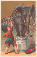 éléphant Circus Cirque * Publicité Cacao PAYRAUD * Dressage Dresseur * Chromo Ancien Illustrateur - Andere & Zonder Classificatie