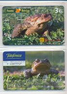 Fauna Ibérica, Edición Privada, SAPO COMÚN, Mintage 4.000 Ex, Nueva, Precintada # - Private Issues