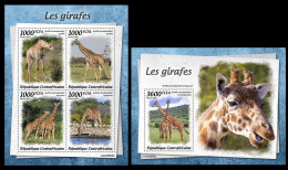 Central Africa  2022 Giraffes (805) OFFICIAL ISSUE - Giraffes