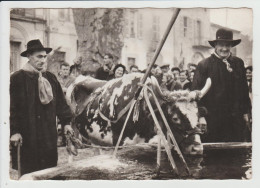 Delcampe - BARJOLS - VAR - FETE DE SAINT MARCEL - LE BOEUF A L'ABREUVOIR - Barjols