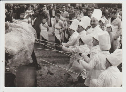 Delcampe - BARJOLS - VAR - FETE DE SAINT MARCEL - Barjols