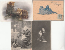 Delcampe - 4 Cpa Chats - Gatos