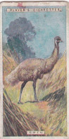 Natual History 1924 - Players Cigarette Card - 19 EMU - Player's