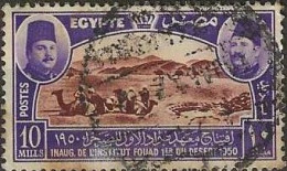 EGYPT 1950 Inauguration Of Fuad I Desert Institute - 10m. - Camels By Water Hole FU - Usati