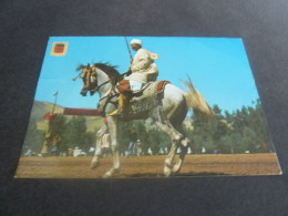 Maroc Typique - Cavalier -  N° 75 - Editions Komaroc - Année 1980 - - Tanger
